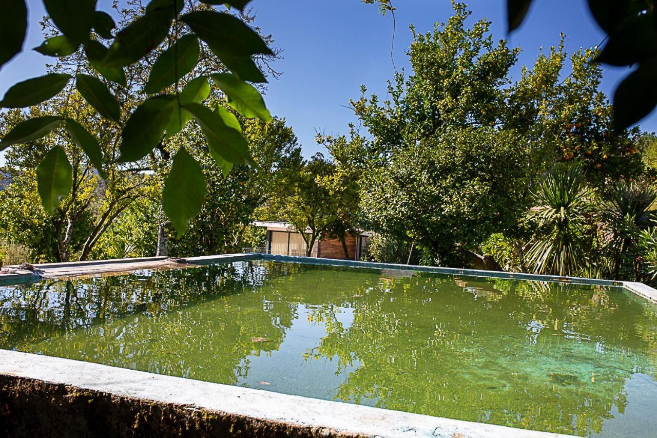 Gospodarstwo wiejskie Regada House Vieira do Minho